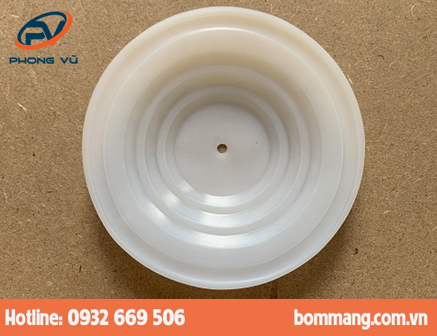 Màng bơm 286.070.600 PTFE-Teflon