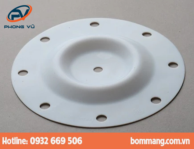 Màng bơm 286.078.600 PTFE-Teflon