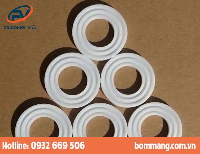 Vòng đệm 720.045.600 PTFE-Teflon