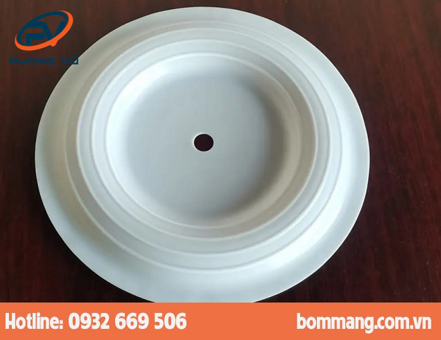 Màng bơm 286.026.604 PTFE-Teflon