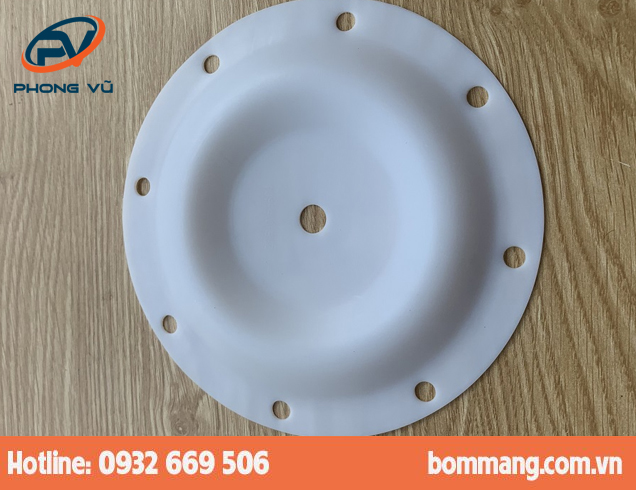 Màng bơm 286.108.600 PTFE-Teflon