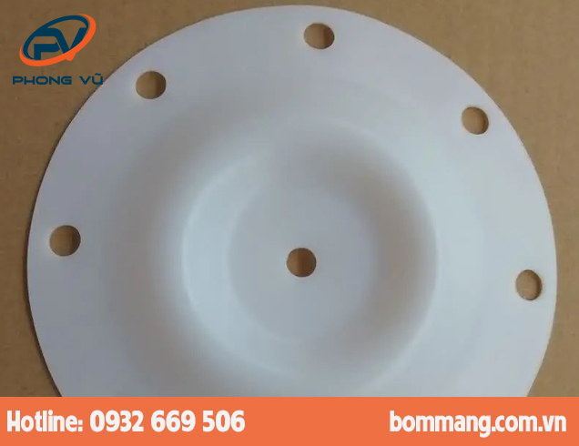 Màng bơm 286.096.600 PTFE-Teflon