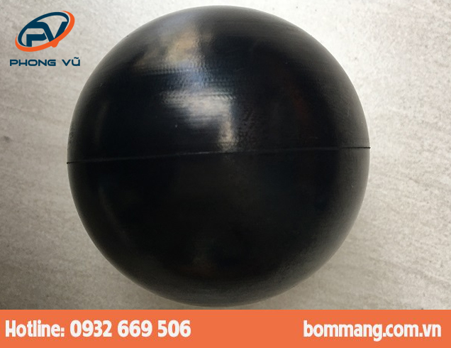 Bi bơm 01-1080-53 Viton