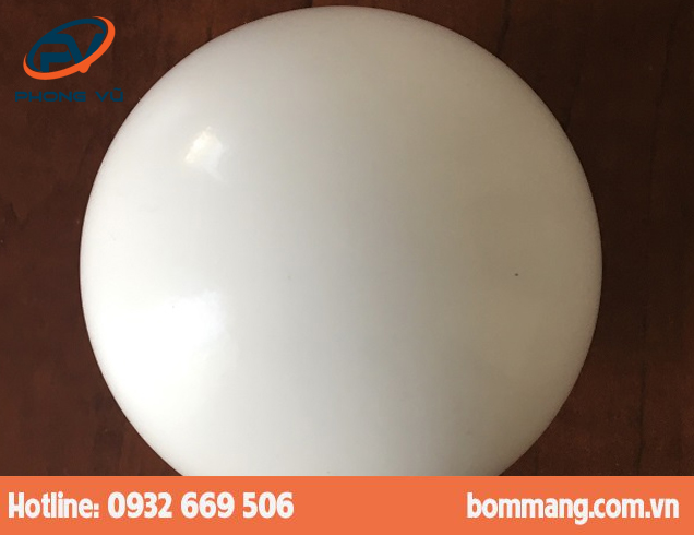 Bi bơm 15-1085-55 PTFE-Teflon