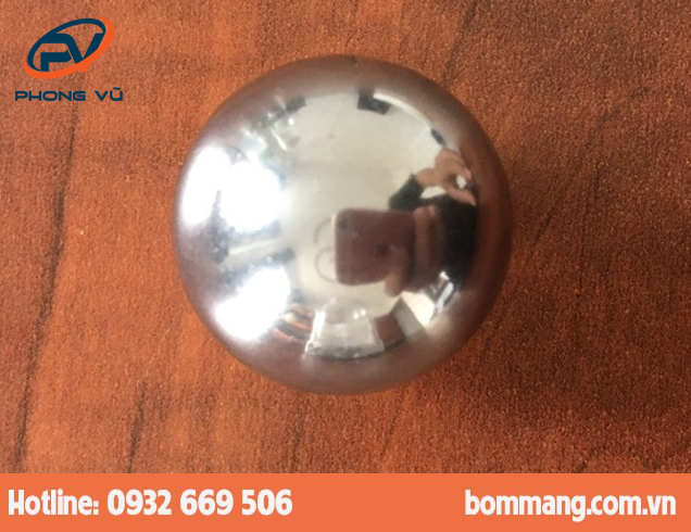 Bi bơm 102973 Inox-SUS