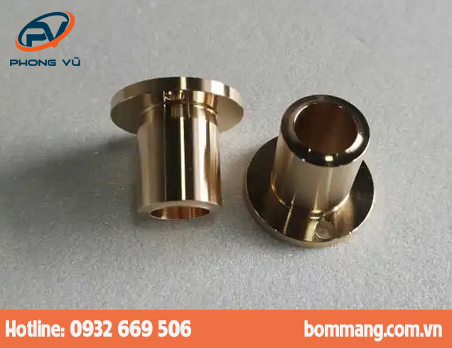 Ống lót 98723-1 BRONZE