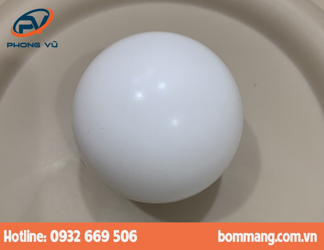 Bi bơm 050.039.600 PTFE-Teflon