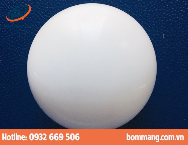 Bi bơm 113253 PTFE-Teflon