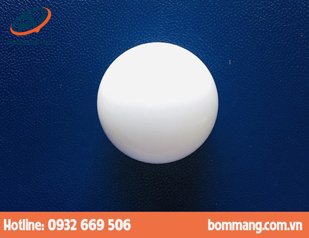 Bi bơm 111626 PTFE-Teflon