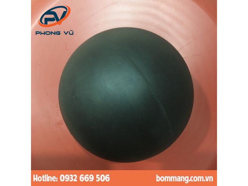 Bi bơm 770633 EPDM 2”