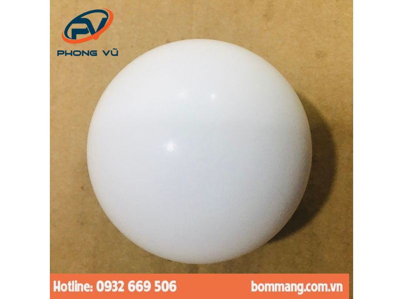 Bi bơm 770694 PTFE (hay Teflon) 3″