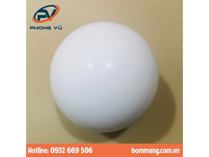 Bi bơm 770736 PTFE (hay Teflon) 34″