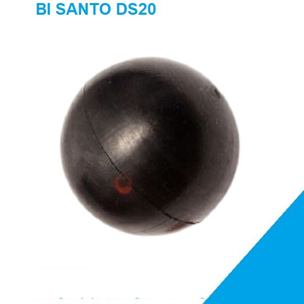 Bi Santo DS20