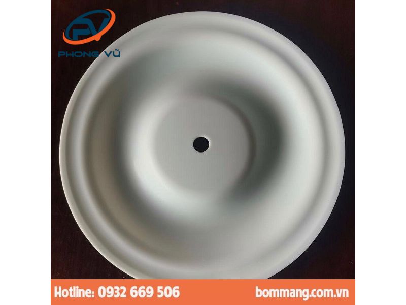 Màng bơm 770815 PTFE (hay Teflon) 2”