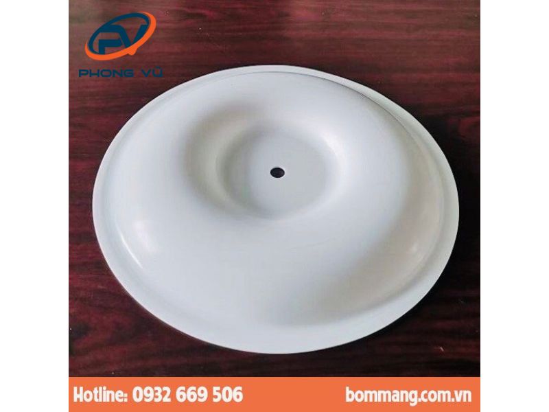 Màng bơm 770934 PTFE (hay Teflon) 3”