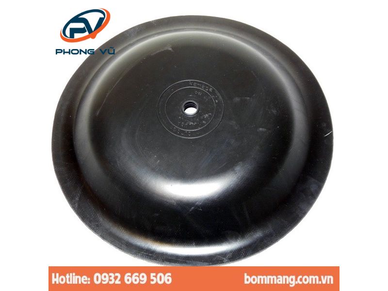 Màng bơm 771856 EPDM 2”