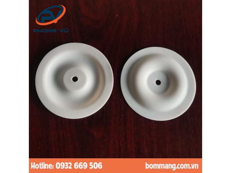 Màng bơm 770933 PTFE (hay Teflon) 3/8″